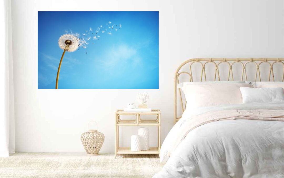 Dandelion Flower Blue Sky Stretch Canvas High Quality Wall Arts – Ready To Hang
