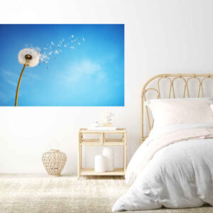 Dandelion Flower Stretch Canvas High Quality Wall Arts - Ready To Hang