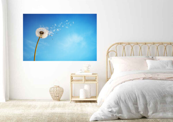 Dandelion Flower Stretch Canvas High Quality Wall Arts - Ready To Hang