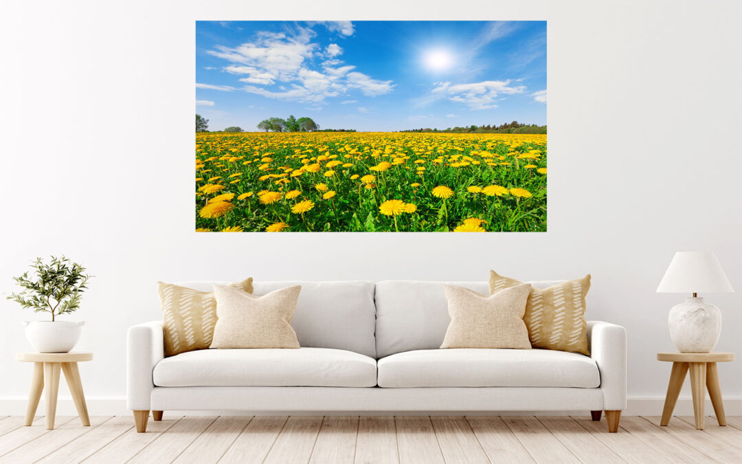 Yellow Flowers Field Blue Sky Stretch Canvas High Quality Wall Arts – Ready To Hang