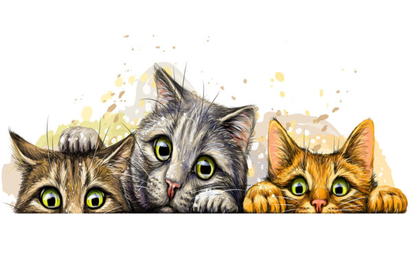 Kittens Painting Stretch Canvas High Quality Wall Arts - Ready To Hang - Image 2
