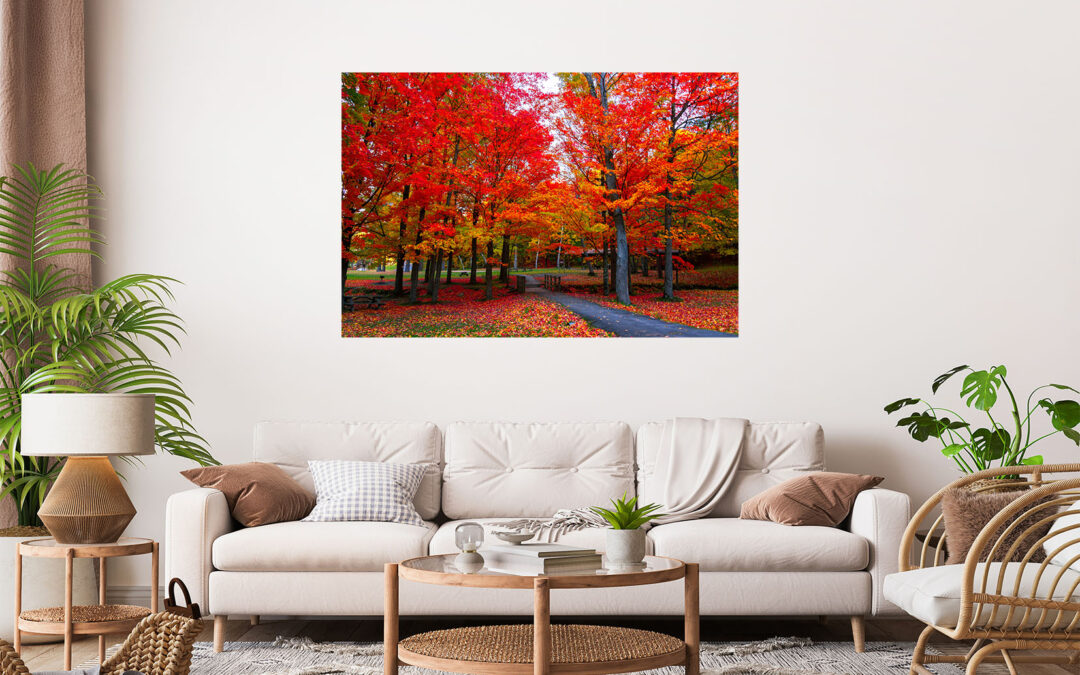 Red Trees Scenery Stretch Canvas High Quality Wall Arts – Ready To Hang