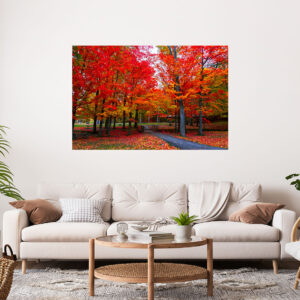 Red Trees Scenery Stretch Canvas High Quality Wall Arts - Ready To Hang