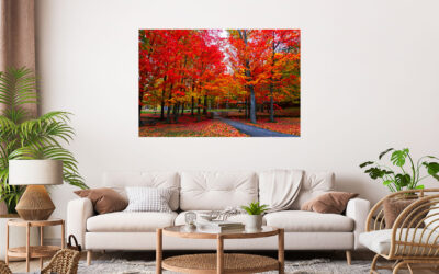 Red Trees Scenery Stretch Canvas High Quality Wall Arts – Ready To Hang