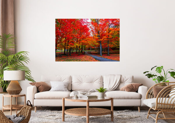 Red Trees Scenery Stretch Canvas High Quality Wall Arts - Ready To Hang
