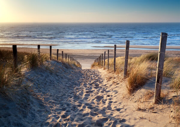 Beach Sunset Nature Stretch Canvas High Quality Wall Arts - Ready To Hang - Image 2