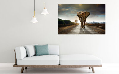 Abstract Elephant Walking Painting Stretch Canvas High Quality Wall Arts – Ready To Hang