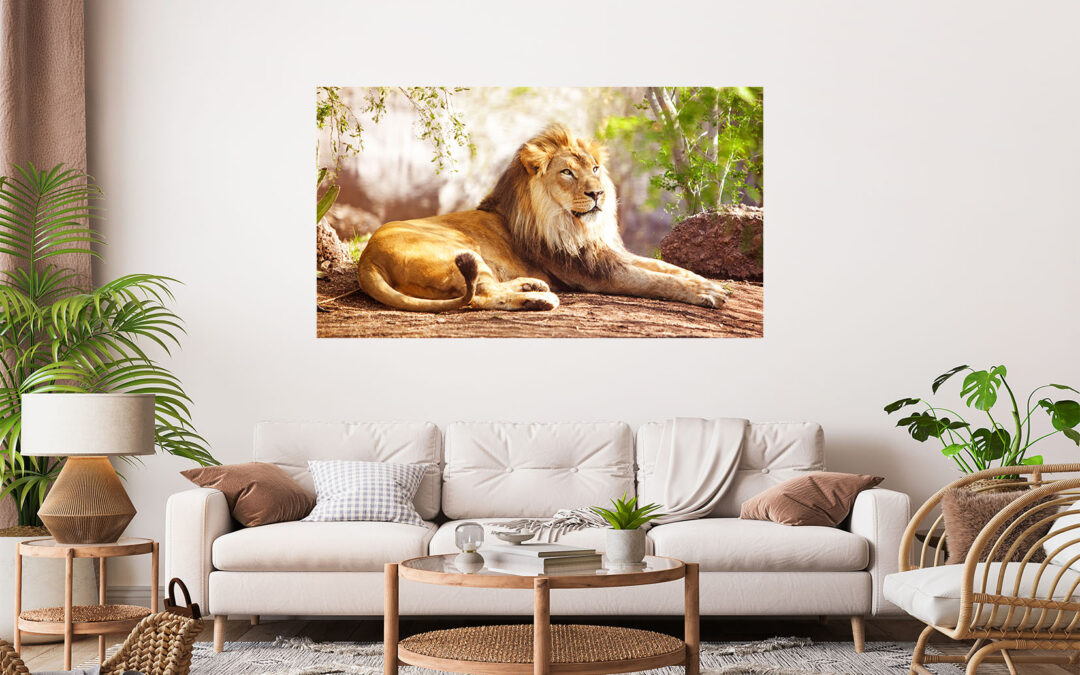Lion Photograph Stretch Canvas High Quality Wall Arts – Ready To Hang