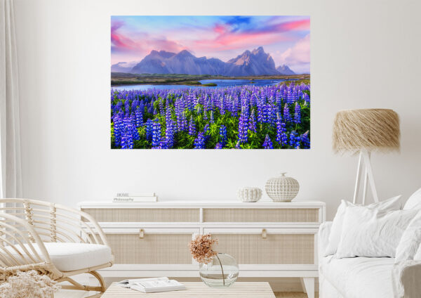 Lavender Field Scenery Stretch Canvas High Quality Wall Arts - Ready To Hang