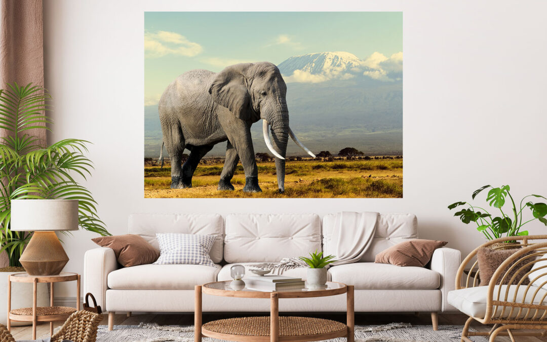Elephant Photograph Stretch Canvas High Quality Wall Arts – Ready To Hang