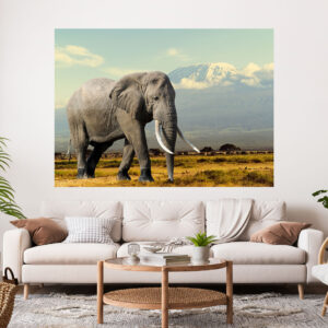 Elephant Photograph Stretch Canvas High Quality Wall Arts - Ready To Hang
