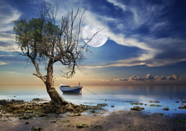 Beautiful Moonlight Tree Boat Painting Stretch Canvas High Quality Wall Arts - Ready To Hang - Image 2