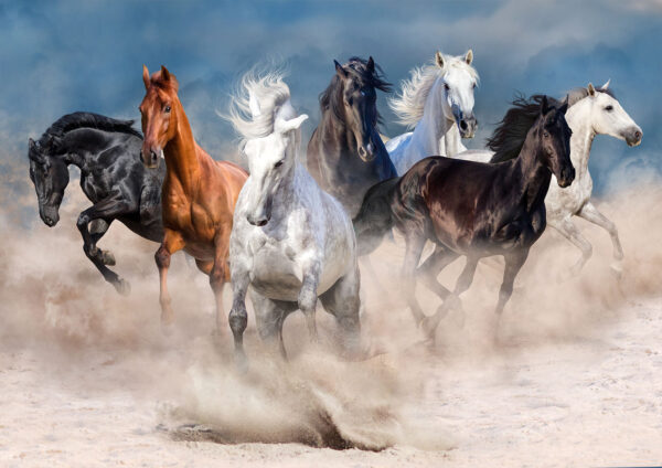 Beautiful Herd of Seven Horses Painting Stretch Canvas High Quality Wall Arts - Ready To Hang - Image 2