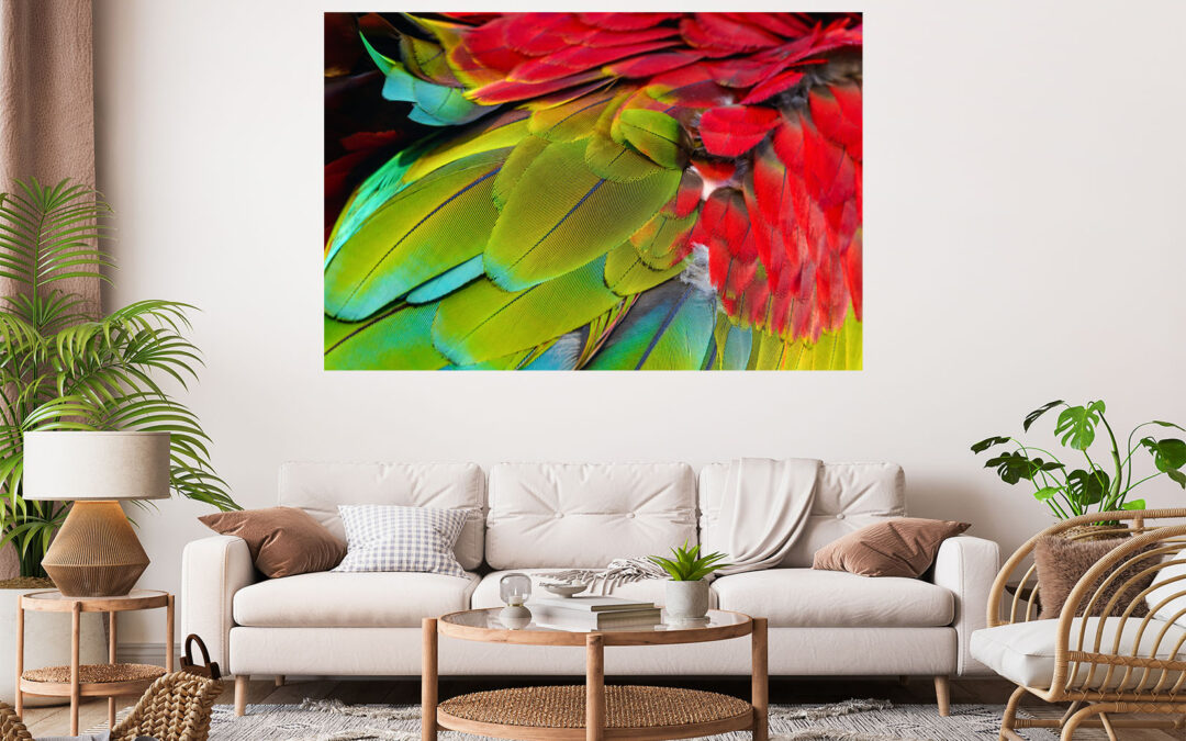 Beautiful Feather Design Abstract Painting Stretch Canvas High Quality Wall Arts – Ready To Hang