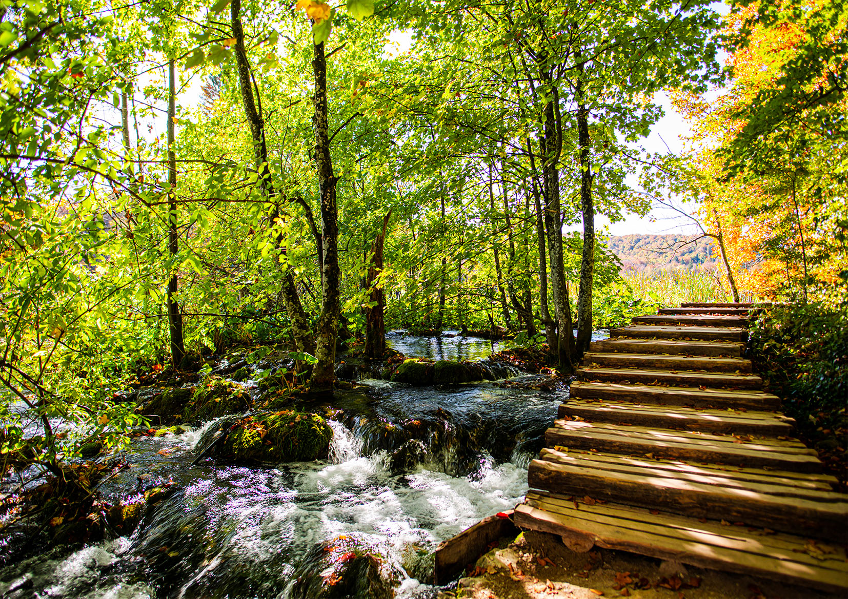 Beautiful Forest Scenery Walking Path Stretch Canvas High Quality Wall Arts - Ready To Hang - Image 2